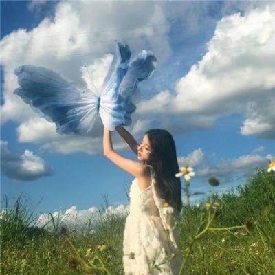 流星蝴蝶剑国语