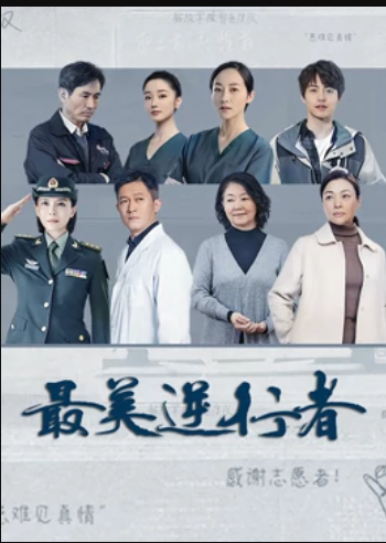 巡回法官 封面图