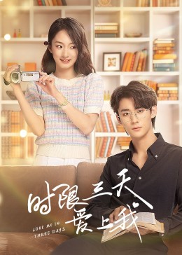 婚礼面纱遗产 封面图